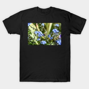 Honey Bees & Blue / Swiss Artwork Photography T-Shirt